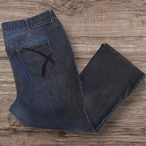 LANE BRYANT Women's Plus Distinctly Boot Cut Stretch Blue Jeans Size 26 Average